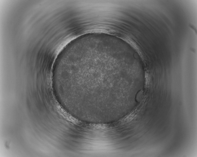 X0000102241020200808151749