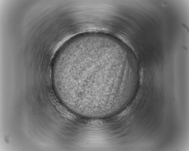 X0000102241021200808151749