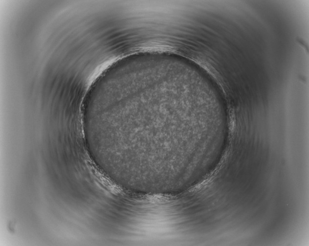 X0000102241022200808151749