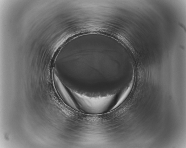 X0000102241023200808151749