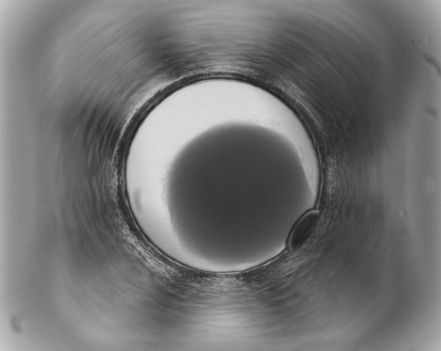 X0000102241024200808151749