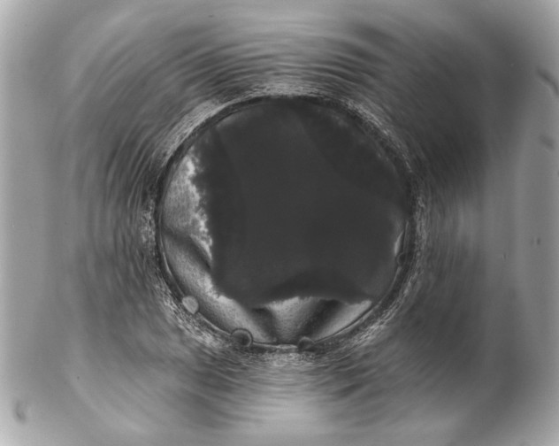 X0000102241025200808151749