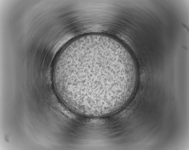 X0000102241026200808151749