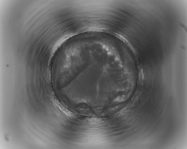 X0000102241027200808151749