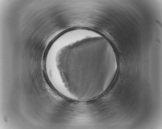 X0000102241028200808151749