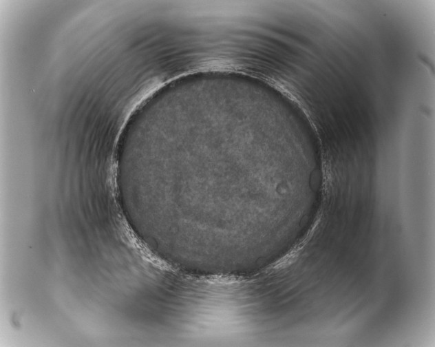 X0000102241029200808151749