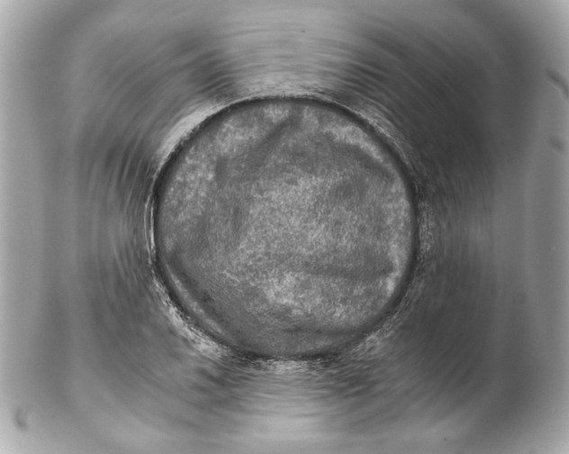 X0000102241030200808151749