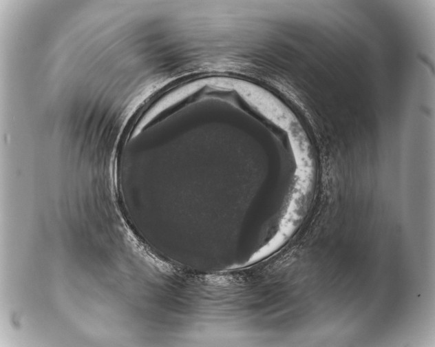 X0000102241032200808151749