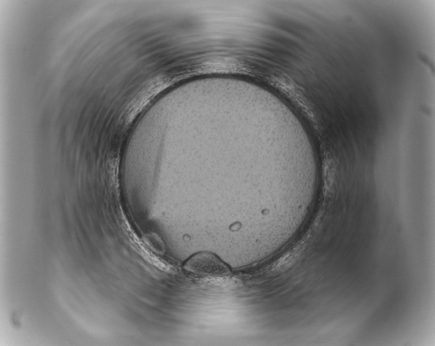 X0000102241033200808151749