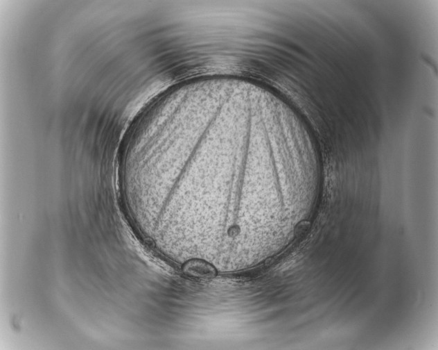 X0000102241034200808151749