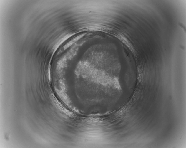 X0000102241036200808151749