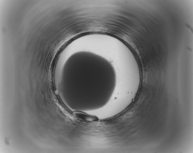 X0000102241037200808151749