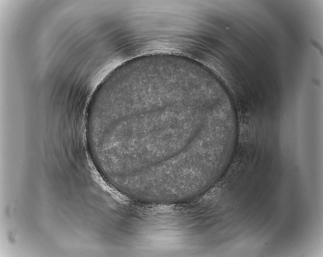 X0000102241038200808151749