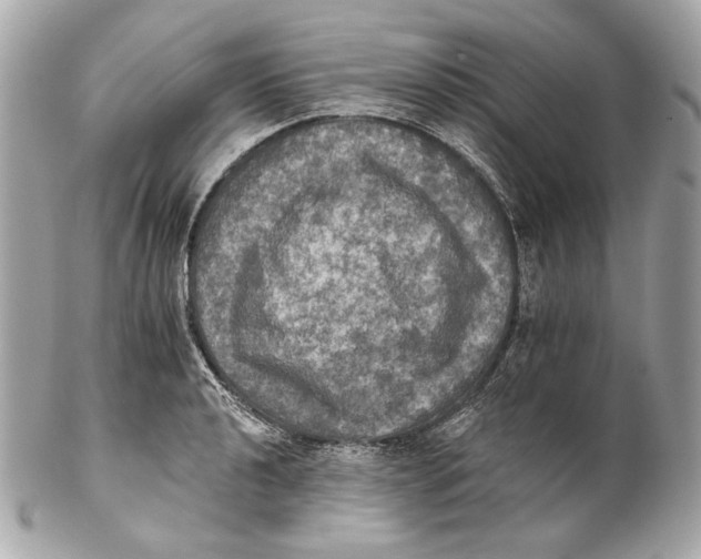 X0000102241040200808151749