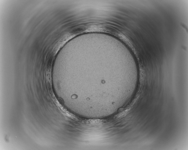 X0000102241041200808151749