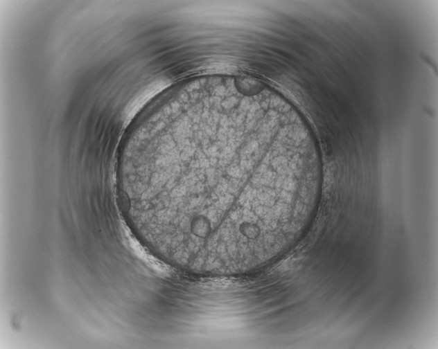 X0000102241042200808151749