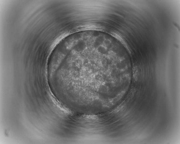 X0000102241043200808151749