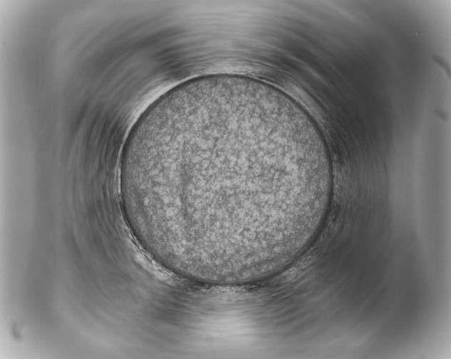 X0000102241044200808151749