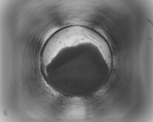 X0000102241048200808151749