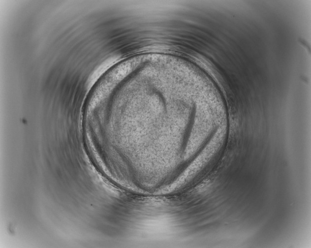 X0000102241050200808151749