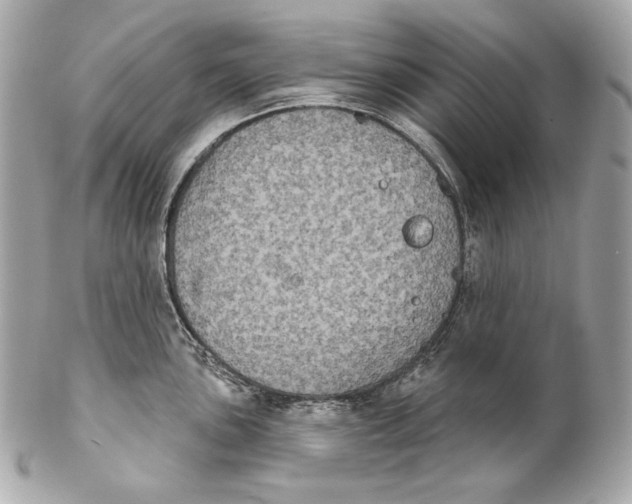 X0000102241051200808151749