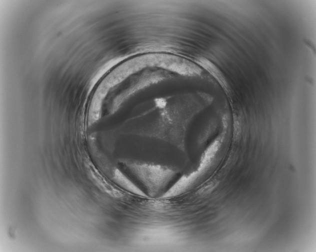 X0000102241052200808151749