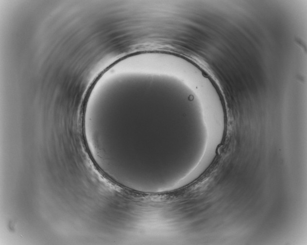 X0000102241053200808151749