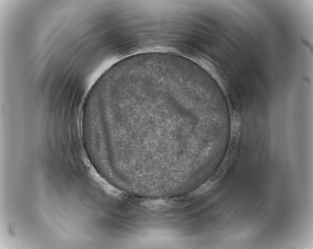 X0000102241054200808151749