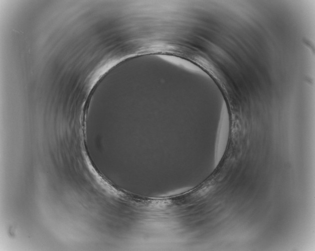 X0000102241055200808151749