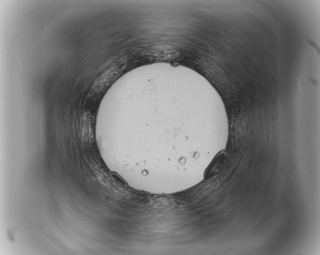 X0000102241058200808151748