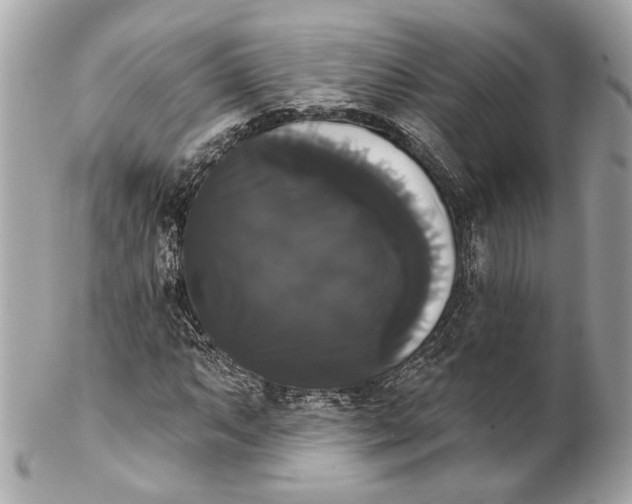 X0000102241063200808151748