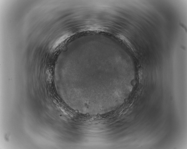 X0000102241064200808151748