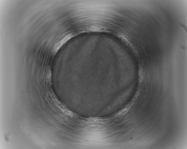 X0000102241065200808151748