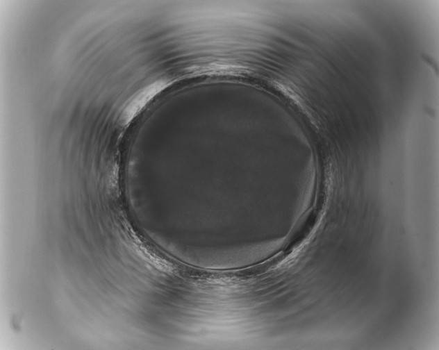 X0000102241066200808151748