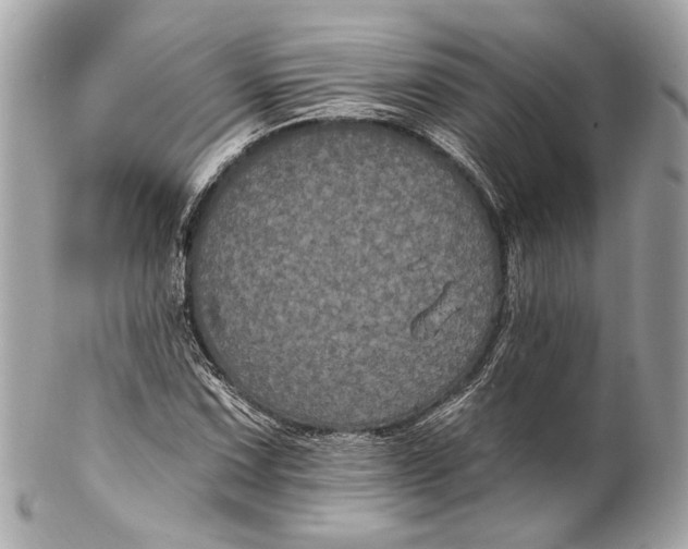 X0000102241067200808151748