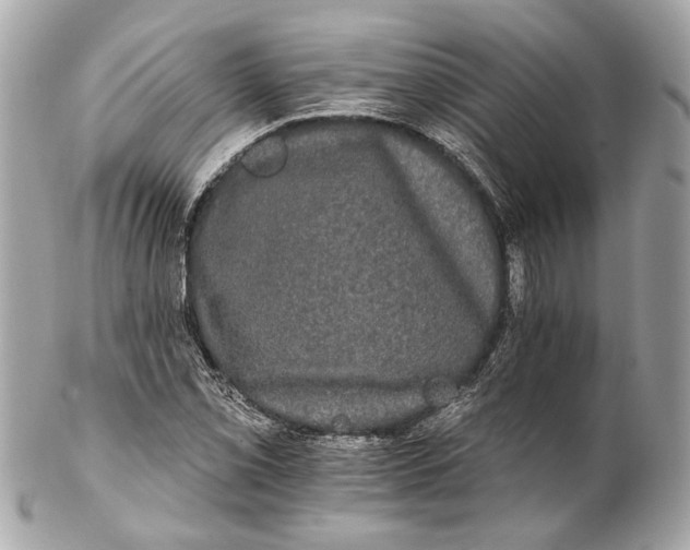 X0000102241069200808151748