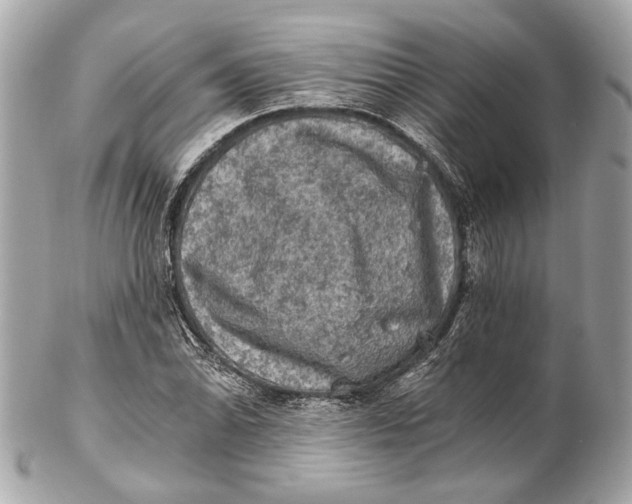 X0000102241070200808151748