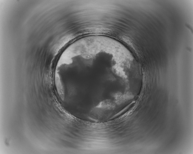 X0000102241071200808151748