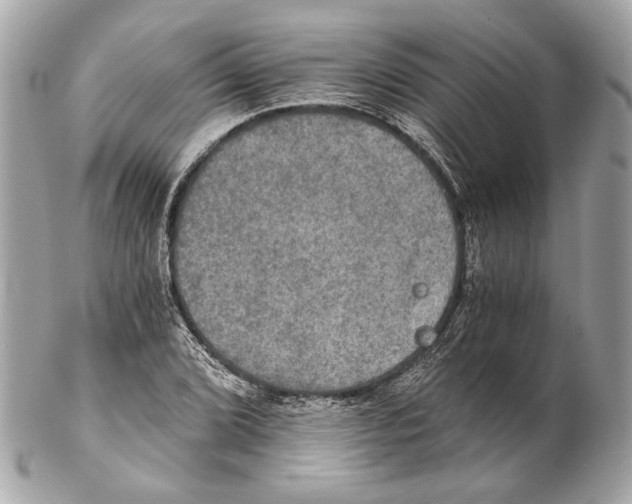 X0000102241072200808151748