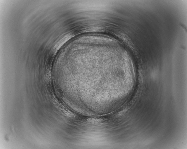 X0000102241073200808151748