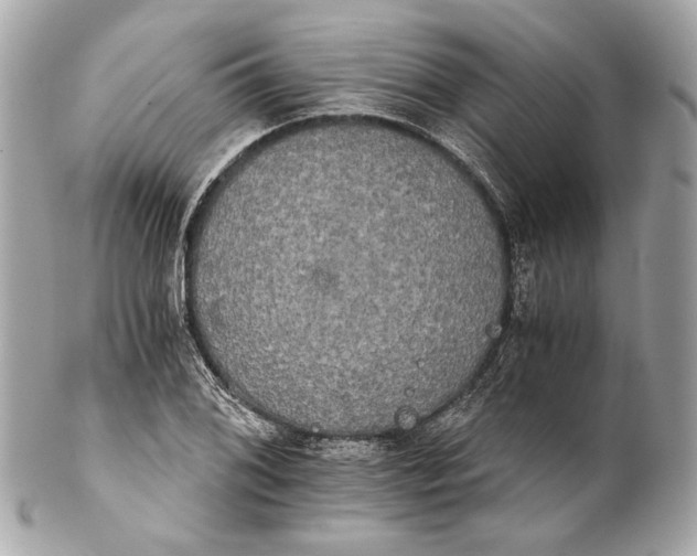 X0000102241076200808151748