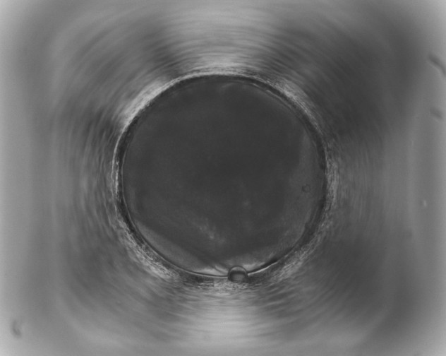 X0000102241077200808151748