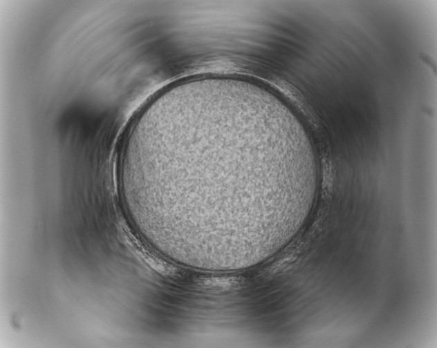 X0000102241078200808151748