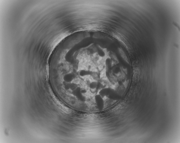 X0000102241079200808151748