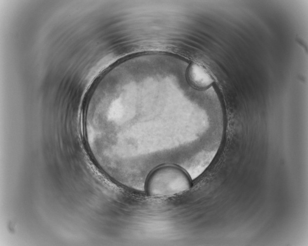 X0000102241080200808151748