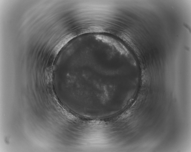 X0000102241081200808151748