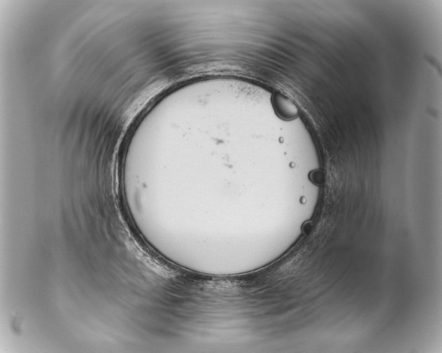 X0000102241082200808151748