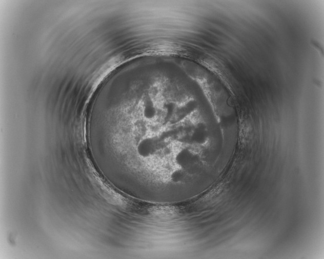 X0000102241083200808151748