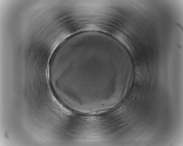 X0000102241084200808151748