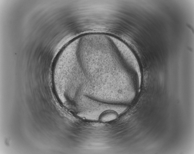 X0000102241085200808151748